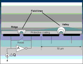 Figure 1. Active capacitive sensing technology